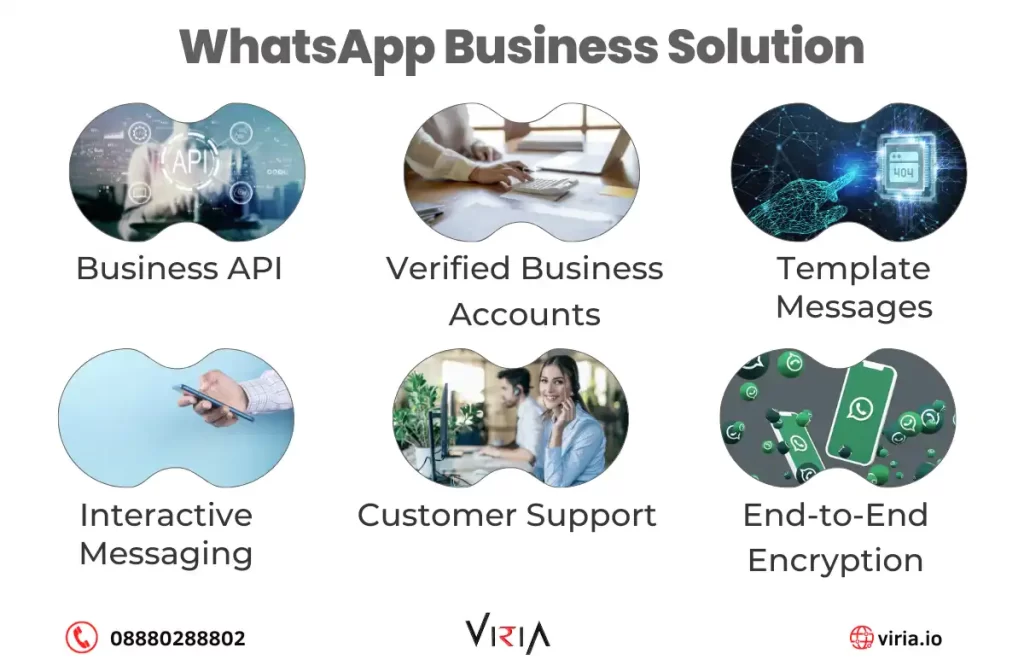 whats-app-business-solutio